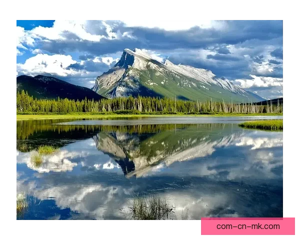 2026世界杯加拿大赛区温哥华多伦多联合发布绿色出行倡议助力可持续发展